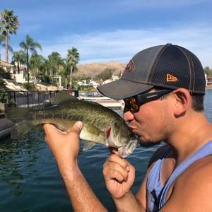 Meet your Posher, James